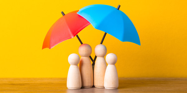 Make the best educated decisions